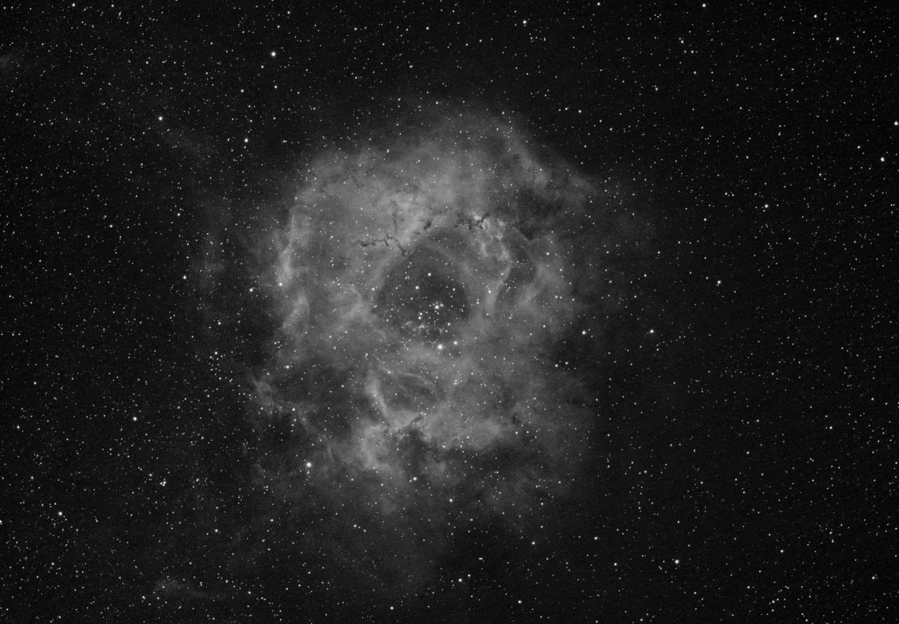 Caldwell 49, the Rosette Nebula